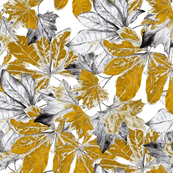 황금색의 솔기없는 무늬에 물색의 떨어진다 메이플 밤이요 아름다운 자연의 인쇄입니다 — 스톡 사진