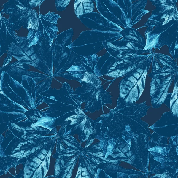 수분이 떨어지는 잎으로 장식없는 패턴이죠 아름다운 자연의 인쇄입니다 손그리기 — 스톡 사진