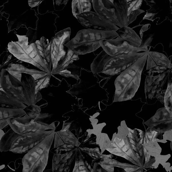 水彩で装飾的なシームレスなパターンは黒に葉を落ちます 美しい自然の秋の印刷 カラフルな手描きイラスト — ストック写真
