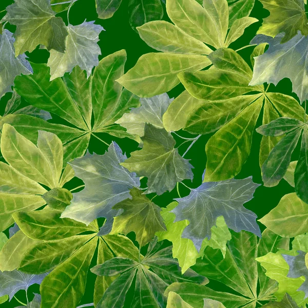 Belo Padrão Sem Costura Com Folhas Queda Aquarela Bela Impressão — Fotografia de Stock