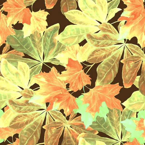Piękny Bezszwowy Wzór Opadającymi Liśćmi Akwareli Piękny Naturalny Jesienny Druk — Zdjęcie stockowe