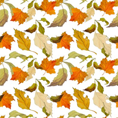 Düşen suluboya yaprakları olan soyut, pürüzsüz bir desen. Güzel, doğal sonbahar baskısı. Renkli el çizimi illüstrasyonu.