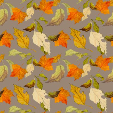 Düşen suluboya yaprakları olan soyut, pürüzsüz bir desen. Güzel, doğal sonbahar baskısı. Renkli el çizimi illüstrasyonu.