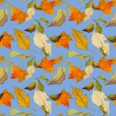 Düşen suluboya yaprakları olan soyut, pürüzsüz bir desen. Güzel, doğal sonbahar baskısı. Renkli el çizimi illüstrasyonu.