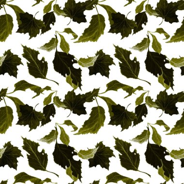 Düşen suluboya yaprakları olan soyut, pürüzsüz bir desen. Güzel, doğal sonbahar baskısı. Renkli el çizimi illüstrasyonu.