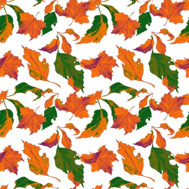 Düşen suluboya yaprakları olan soyut, pürüzsüz bir desen. Güzel, doğal sonbahar baskısı. Renkli el çizimi illüstrasyonu.