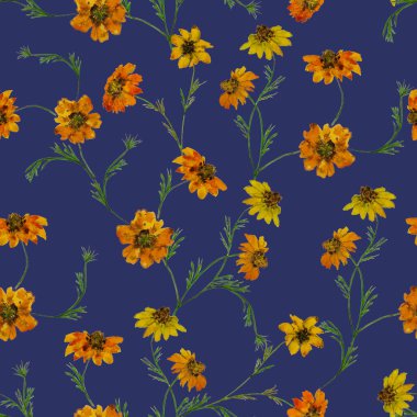 Çiçeksiz desenli suluboya kadife çiçekleri. Botanik duvar kağıdı. Çiçekli tekstil tasarımı. Kaliteli, kusursuz yaz şablonu.