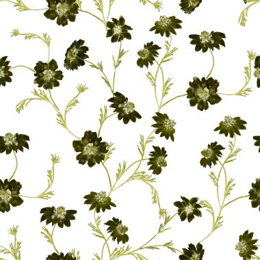 Çiçeksiz desenli suluboya kadife çiçekleri. Botanik duvar kağıdı. Çiçekli tekstil tasarımı. Kaliteli, kusursuz yaz şablonu.