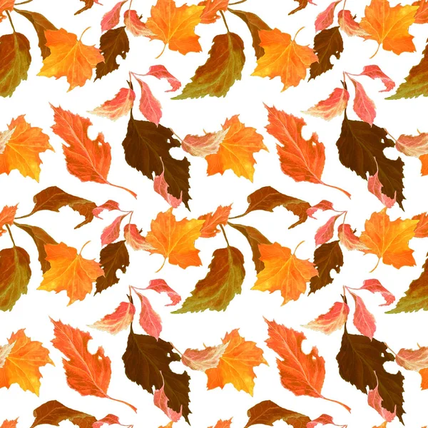 Абстрактный Бесшовный Рисунок Акварелью Падающих Листьев Естественный Осенний Принт Красочная — стоковое фото