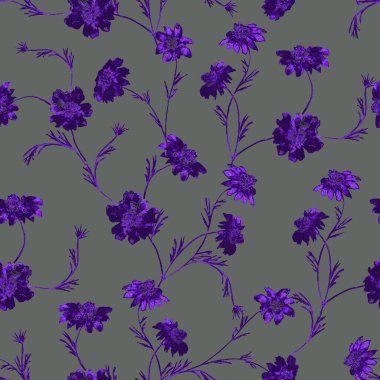 Çiçeksiz desenli suluboya kadife çiçekleri. Botanik duvar kağıdı. Çiçekli tekstil tasarımı. Kaliteli, kusursuz yaz şablonu.