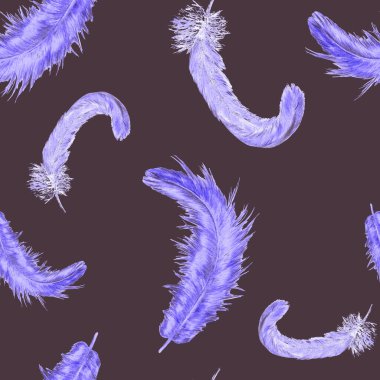 Güzel tüyleri olan dekoratif, pürüzsüz bir desen. Boya kalemleriyle çizilmiş moda resim baskısı.