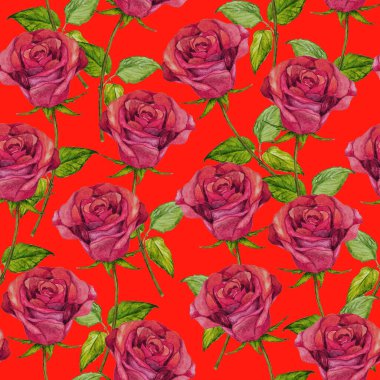 Watercolor seamless pattern with beautiful roses. Romantic floral summer print. Vintage natural background.