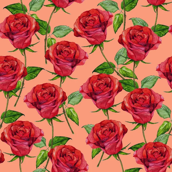 Watercolor Seamless Pattern Beautiful Roses Romantic Floral Summer Print Vintage — Stock Photo, Image