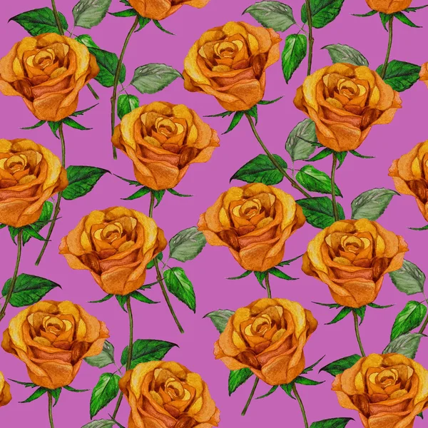 Padrão Sem Costura Aquarela Com Belas Rosas Impressão Floral Romântica — Fotografia de Stock