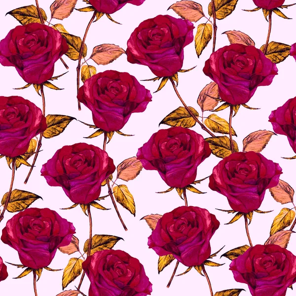 Padrão Sem Costura Aquarela Com Belas Rosas Impressão Floral Romântica — Fotografia de Stock