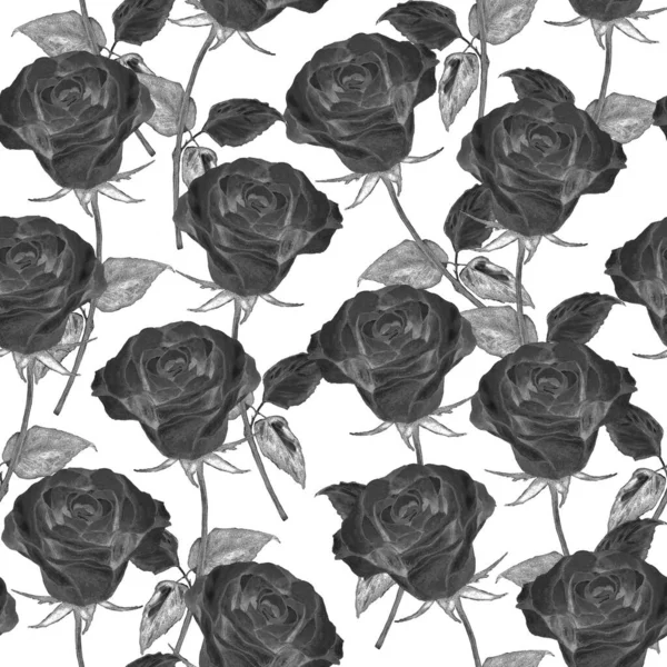 Акварель Бесшовный Узор Красивыми Розами Романтический Цветочный Летний Отпечаток Винтажный — стоковое фото