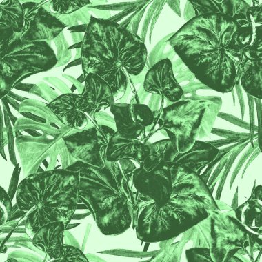 Hawaii çiçeksiz desenli suluboya tropikal yapraklar ve çiçekler. Kala çiçekleri. Klasik Tropikal yaz baskısı.