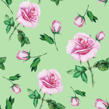 Çiçeksiz desenli güzel güller. Dekoratif botanik gül çiçeği izi. Suluboya el çizimi çizimi.