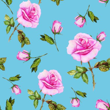 Çiçeksiz desenli güzel güller. Dekoratif botanik gül çiçeği izi. Suluboya el çizimi çizimi.