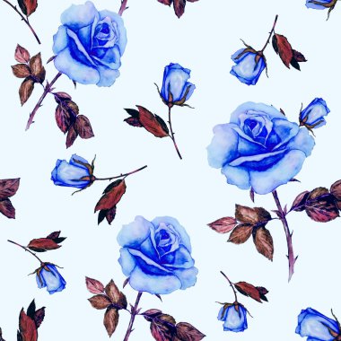 Çiçeksiz desenli güzel güller. Dekoratif botanik gül çiçeği izi. Suluboya el çizimi çizimi.