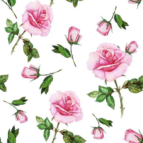 Patrón Sin Costura Floral Con Hermosas Rosas Flor Flor Botánica —  Fotos de Stock