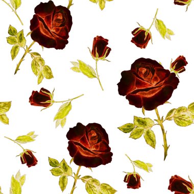 Çiçeksiz desenli güzel güller. Dekoratif botanik gül çiçeği izi. Suluboya el çizimi çizimi.