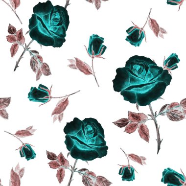 Çiçeksiz desenli güzel güller. Dekoratif botanik gül çiçeği izi. Suluboya el çizimi çizimi.