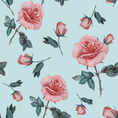 Çiçeksiz desenli güzel güller. Dekoratif botanik gül çiçeği izi. Suluboya el çizimi çizimi.