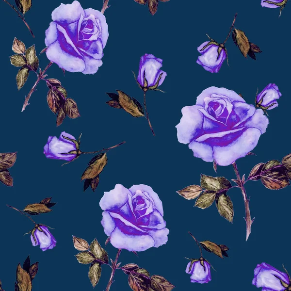 Bloemen Naadloos Patroon Met Prachtige Bloeiende Rozen Decoratieve Botanische Rose — Stockfoto