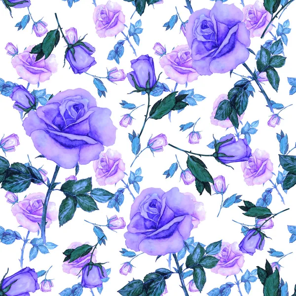 Floral Seamless Pattern Beautiful Blooming Roses Decorative Botanic Rose Flower — Stock Photo, Image