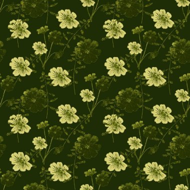 Çiçeksiz, suluboya tarla çiçekleri. Botanik, doğal arka plan. Tekstil çiçek tasarımı. 