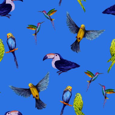 Kuş (papağanlar, tukanlar, sinekkuşları) ile sulu boya deseni. Egzotik orman kuşu duvar kağıdı. Her amaç için harika bir tasarım. Parlak yaz baskısı.