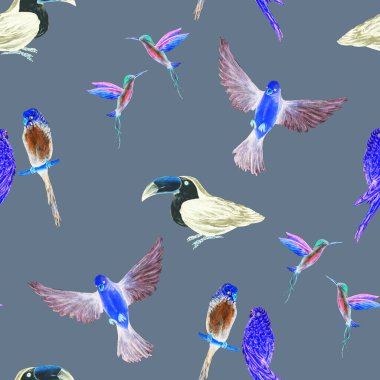 Kuş (papağanlar, tukanlar, sinekkuşları) ile sulu boya deseni. Egzotik orman kuşu duvar kağıdı. Her amaç için harika bir tasarım. Parlak yaz baskısı.