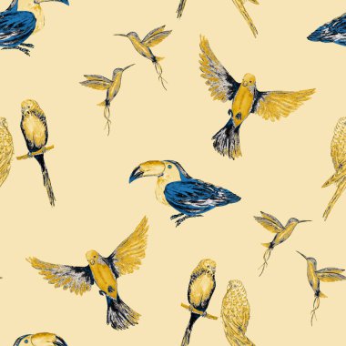 Kuş (papağanlar, tukanlar, sinekkuşları) ile sulu boya deseni. Egzotik orman kuşu duvar kağıdı. Her amaç için harika bir tasarım. Parlak yaz baskısı.