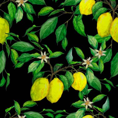 Siyah üzerine suluboya limonları olan yaratıcı, pürüzsüz bir desen. Meyveli moda baskısı. Her türlü tasarım için kullanılabilir..