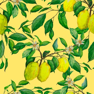 Suluboya limonlu, yaratıcı, pürüzsüz desen. Meyveli moda baskısı. Her türlü tasarım için kullanılabilir..