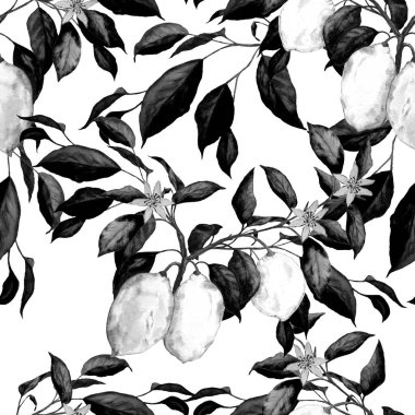 Suluboya limonlu, yaratıcı, pürüzsüz desen. Meyveli moda baskısı. Her türlü tasarım için kullanılabilir..