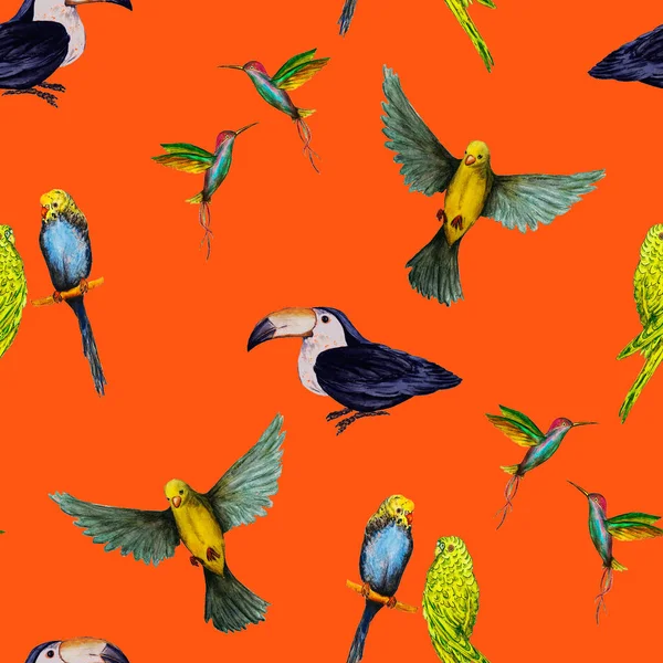 Kuş Papağanlar Tukanlar Sinekkuşları Ile Sulu Boya Deseni Egzotik Orman — Stok fotoğraf