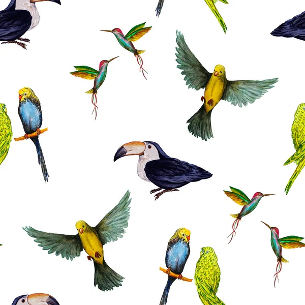 Watercolor Seamless Pattern Bird Parrots Toucans Hummingbirds Exotic Jungle Bird — Stock Photo, Image