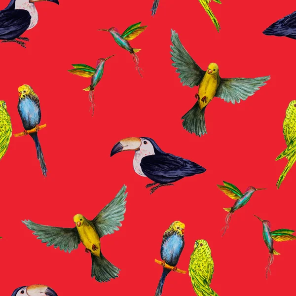 Watercolor seamless pattern with bird (parrots,toucans, hummingbirds). Exotic jungle bird wallpaper. Great design for any purposes. Bright summer print.