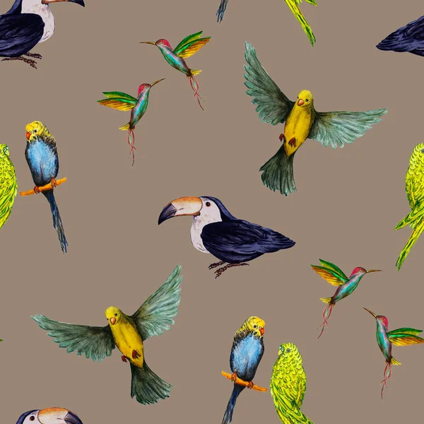 Akvarell Zökkenőmentes Minta Madár Papagájok Tukánok Kolibrik Egzotikus Dzsungel Madár — Stock Fotó