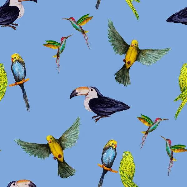 Akvarel Bezešvný Vzor Ptákem Papoušky Toukany Kolibříci Exotické Tapety Pro — Stock fotografie