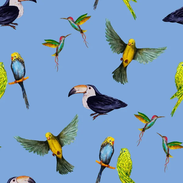 Watercolor seamless pattern with bird (parrots,toucans, hummingbirds). Exotic jungle bird wallpaper. Great design for any purposes. Bright summer print.