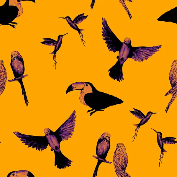 Aquarelloos Patroon Met Vogel Papegaaien Toekans Kolibries Exotische Jungle Vogel — Stockfoto