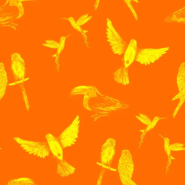 水彩画 奇异的丛林鸟壁纸 任何目的的伟大设计 明亮的夏季印刷品 — 图库照片