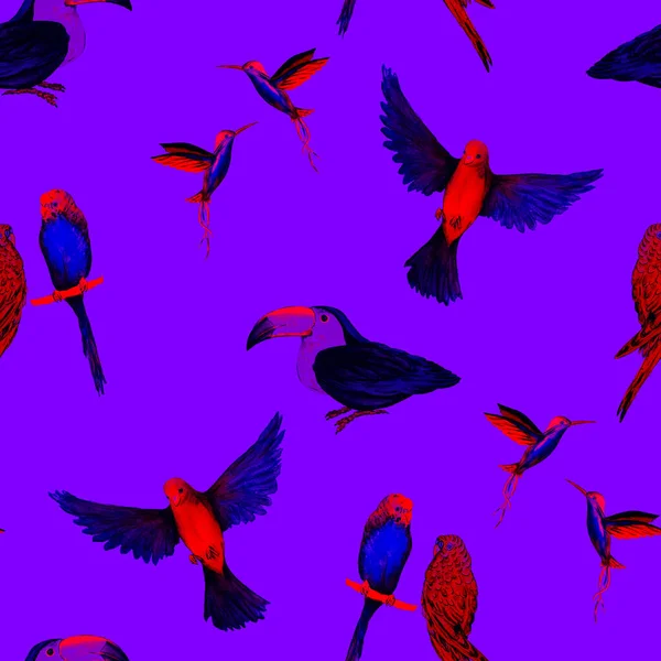 Акварель Бесшовная Птицей Попугаи Туканы Колибри Экзотические Обои Птиц Джунглях — стоковое фото