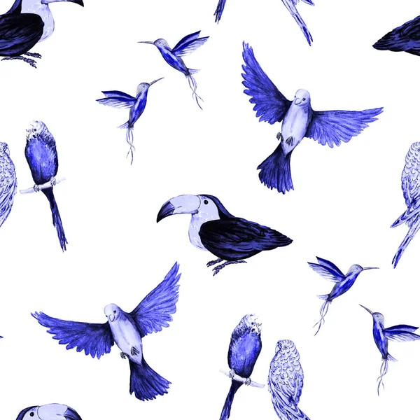 Aquarelle Motif Sans Couture Avec Oiseau Perroquets Toucans Colibris Fond — Photo