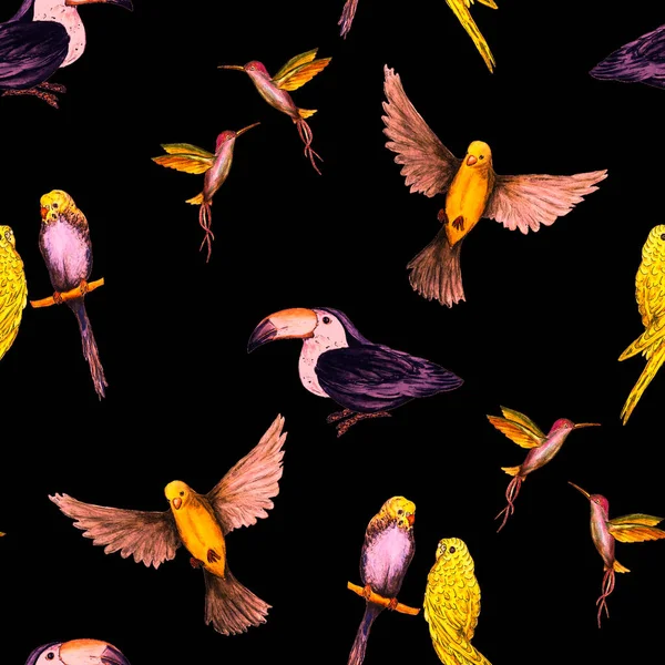 Akvarell Sömlöst Mönster Med Fågel Papegojor Tukaner Kolibrier Exotisk Djungel — Stockfoto