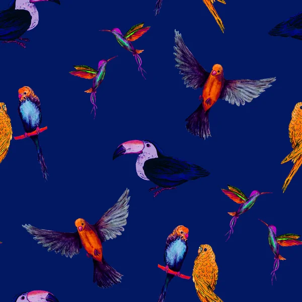 Akvarel Bezešvný Vzor Ptákem Papoušky Toukany Kolibříci Exotické Tapety Pro — Stock fotografie