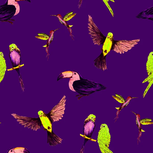 Aquarell Nahtloses Muster Mit Vögeln Papageien Tukane Kolibris Exotische Dschungelvogel — Stockfoto